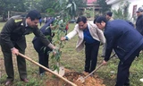 Các đại biểu trồng cây tại lễ phát động. Ảnh: Hoàng Lam.
