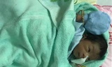 Bé trai sơ sinh bị chôn sống: Khi được bế lên bé cất tiếng khóc