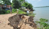 Sạt lở bờ sông Tiền ở xã Bình Thành (Thành Bình, Đồng Tháp).