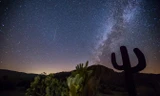Một vệt sao băng Delta Aquarids trên bầu trời Borrego Springs, California, Mỹ. Ảnh: Ineeddadrink.