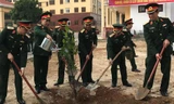 Lãnh đạo, cán bộ, chiến sĩ Quân khu 1 trồng cây sáng mùng 6 Tết.