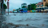 TPHCM lo ngập nặng khi bão Damrey đổ bộ