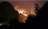 Cháy rừng tại vùng lõi Di sản thiên nhiên thế giới Tràng An