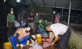 Phát hiện gần 3 tấn thịt lợn nhiễm dịch tả lợn châu Phi