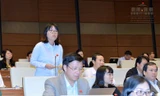 Đại biểu Quốc hội Phạm Thị Minh Hiền
