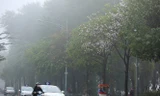 Miền Bắc sương mù kéo dài, TPHCM trời nắng không mưa