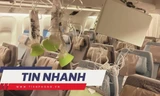 TIN NHANH: Vụ máy bay Singapore nhiễu động khiến 30 người thương vong: Hành khách kể giây phút kinh hoàng