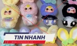 TIN NHANH: Lý do nhiều người Việt quay sang tẩy chay búp bê Baby Three