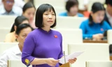 Đại biểu Quốc hội Nguyễn Thị Việt Nga.
