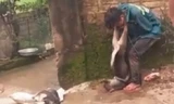 Nam thanh niên bị bắt trói và treo chó lên cổ để trừng phạt.