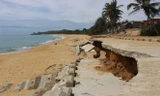Kè biển Tam Quan bị hư hỏng. Ảnh: Nông nghiệp