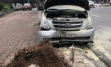 Hiện trường vụ ô tô đâm cây bật gốc.