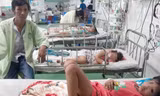 Quảng Nam: Bốn mẹ con bị đàn ong vò vẽ đốt phải nhập viện 