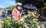 Người Quảng Nam đi chợ mua 'lá mùng 5' dịp Tết Đoan Ngọ