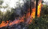 Nắng nóng khiến ngọn lửa lan nhanh và khó khống chế.