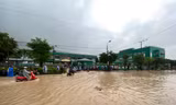 Nước ngập tứ bề, người dân rốn lũ Quảng Nam bất lực đứng nhìn