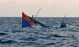 Tàu cá ở Quảng Nam, Quảng Ngãi bị sóng đánh chìm, cứu hơn 80 người, 15 ngư dân mất tích