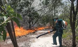 Gần 100 người nỗ lực dập tắt cháy rừng giữa trời nắng nóng.