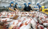 Với mức thuế chống bán phá giá chính thức vừa mới công bố sẽ có nhiều diễn biến mới đối với xuất khẩu cá tra sang Mỹ