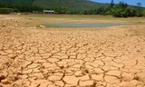 Nhiều hồ nước cạn trơ đáy ở miền Trung