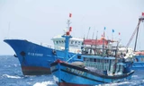 Một tàu cá Việt Nam bị 3 tàu Trung Quốc truy đuổi trên biển Đông