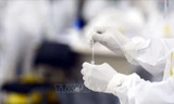Lấy mẫu xét nghiệm nhanh kháng nguyên SARS-CoV-2. Ảnh minh họa: TTXVN