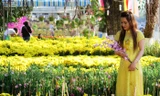 Chợ hoa kiểng Tết Cà Mau đắt khách