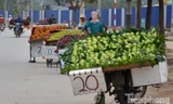 Phố hoa quả giá rẻ bán rong ở Hà Nội