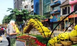 Khách Tây thích thú ngắm đường hoa Sài Gòn