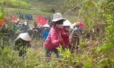 Thanh niên tích cực lao động ngày ra quân.