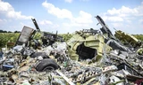 Hiện trường vụ rơi máy bay MH17. (Nguồn: businessweek).