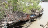 Xác tàu Diễm Tính như bộ xương cá nằm ven sông Ông Trang. Ảnh: Việt Tường/ Zing