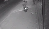 10 video ‘hot’: Câu trộm chó nhanh như chớp ở Hà Nội