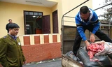 Bắt hơn nửa tấn nội tạng động vật đang phân huỷ