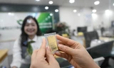 Giá vàng đồng loạt tăng 