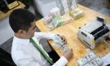 Hành động mới của Ngân hàng Nhà nước với lãi suất, giá USD tăng 