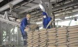 Báo cáo Thủ tướng việc dư thừa hàng triệu tấn xi măng