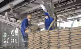Báo cáo Thủ tướng việc dư thừa hàng triệu tấn xi măng