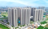  Chung cư quay đầu tăng giá, đất nền chững lại sau tăng 'nóng'