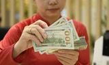 USD 'diễn biến lạ', Ngân hàng Nhà nước phản ứng thế nào? 