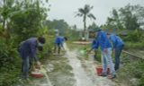 Đoàn viên thanh niên tham gia hoạt động vệ sinh, rắc vôi bột phòng dịch tả lợn Châu Phi