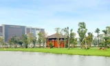 Đặc sắc Lễ hội thả diều tại Vincom Village