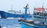 Tàu cá Trung Quốc tham gia ngăn cản tàu Việt Nam