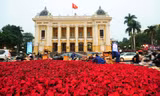 Hoa Đà Lạt trang hoàng Hà Nội đón Hội nghị thượng đỉnh Mỹ - Triều