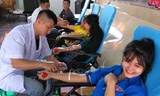 Tuổi trẻ Cửa Lò tham gia hiến máu
