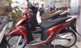 Wave Alpha - mẫu xe số bán chạy nhất của Honda.