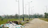 Hai công trình chiếu sáng tiền tỷ liên tục được đầu tư trên đoạn đường cụt giữa đồng không mông quạnh, hiếm hoi người đi và ngập đầy rác.