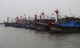 Tỉnh TT-Huế đã kêu gọi 1.915 phương tiện/10.533 lao động vào tránh trú áp thấp an toàn.