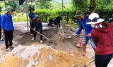 Nhiều kết quả đáng khích lệ, phấn khởi, tích cực đã được các cấp bộ Đoàn tại TT-Huế thực hiện qua 5 năm triển khai Chỉ thị 42-CT/TW.