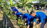 ĐVTN Hương Thủy ra quân làm vệ sinh, bảo đảm môi trường xanh, sạch, sáng hưởng ứng chiến dịch “Thanh niên tình nguyện hè năm 2020”.